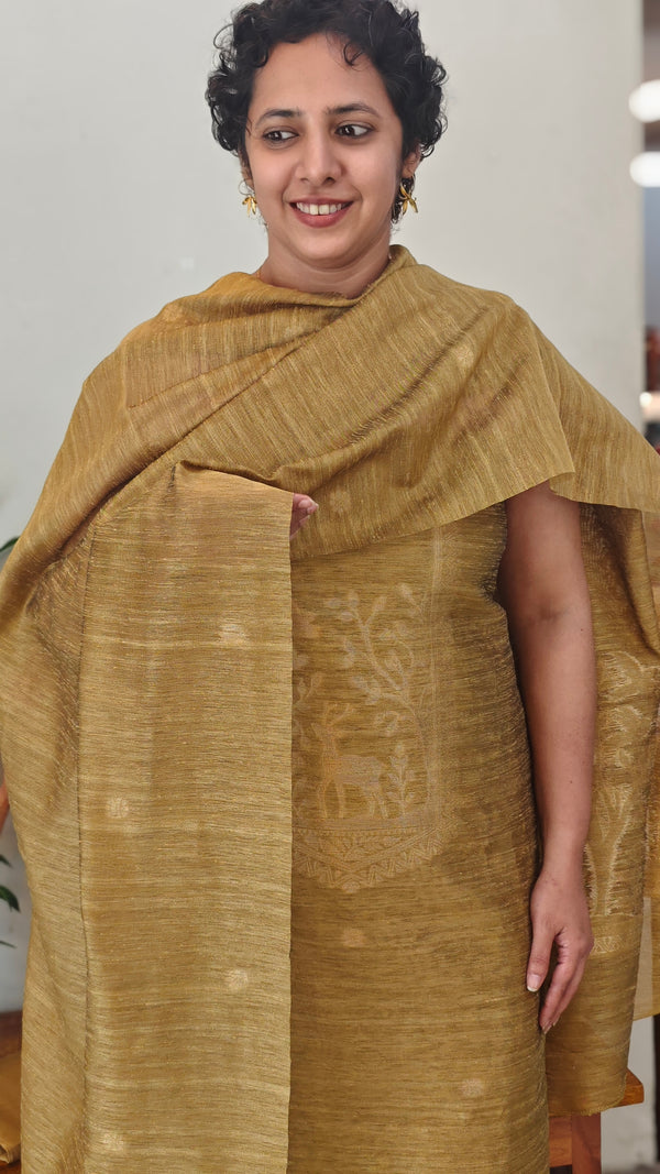 Lime mustard banarasi suit - FE308