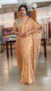 Rustic gold tissue silk saree - 2M83