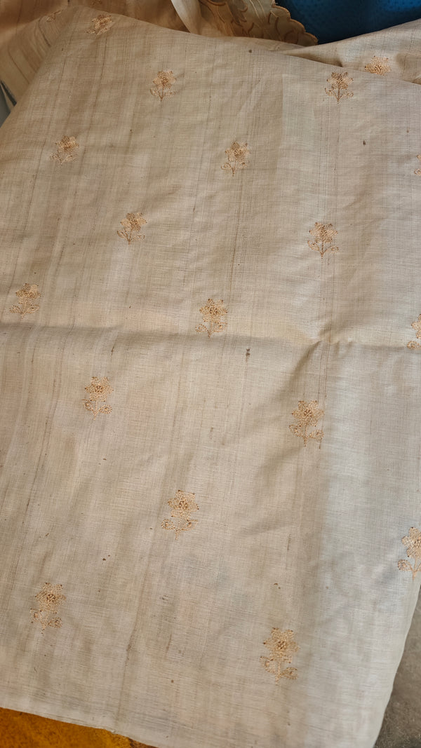 Beige Handloom Desi tussar silk applique saree