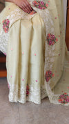 Pista green embroidered net kota saree
