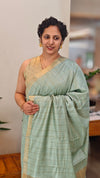 Mint green checked bagalpuri silk saree - BPR3