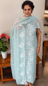 Aqua blue embroidered georgette suit - CM35