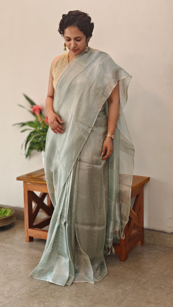 Ice Blue and silver tissue silk saree - 2M83