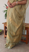 Sage Green and golden tissue silk saree -2M83