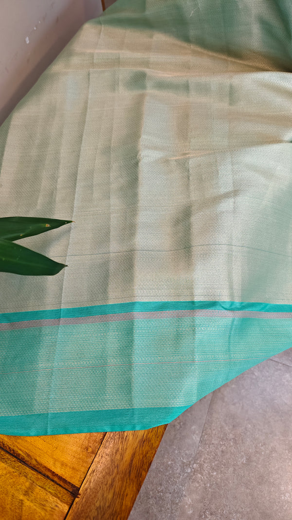 Banarasi saree with ganga jamuna borders - CSF5