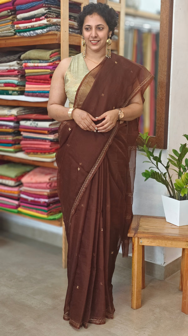 Caramel Brown Organza Saree with Pita Work - TD16 - 1C