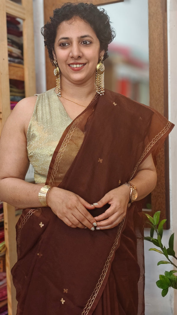 Caramel Brown Organza Saree with Pita Work - TD16 - 1C