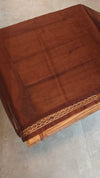 Caramel Brown Organza Saree with Pita Work - TD16 - 1C