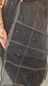 Black Organza Saree with Pita work embroidery - TD16 - 2B