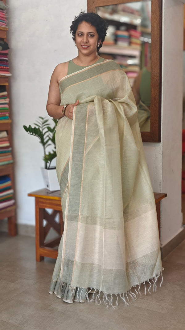 Pale Green Tissue Silk Saree - DR42