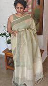 Pale Green Tissue Silk Saree - DR42