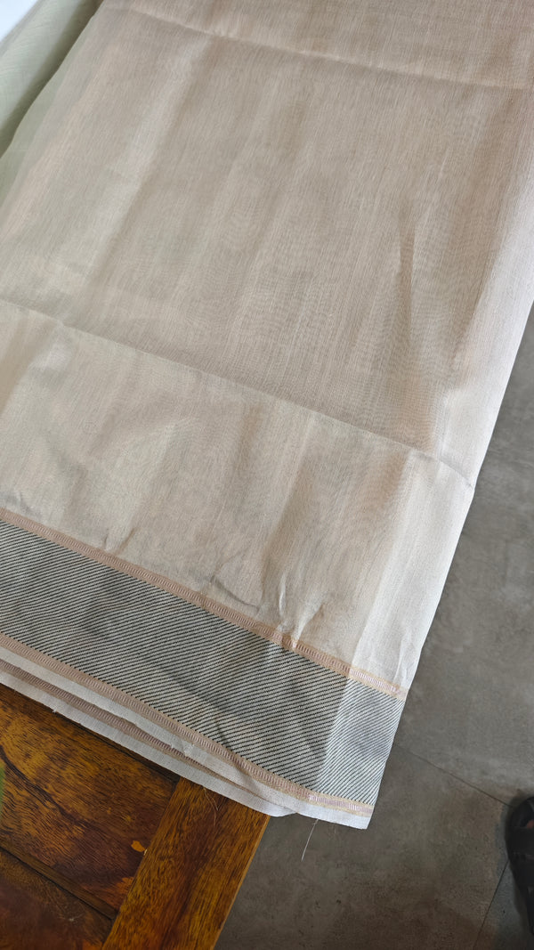 Pale Green Tissue Silk Saree - DR42