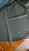 Metallic Green Tussar Tissue Saree - CCK3