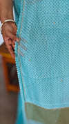 Cyan Blue Kota Saree with Pita Embroidery - EMR4