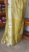 Lime Green Tissue Silk Saree - 2M83