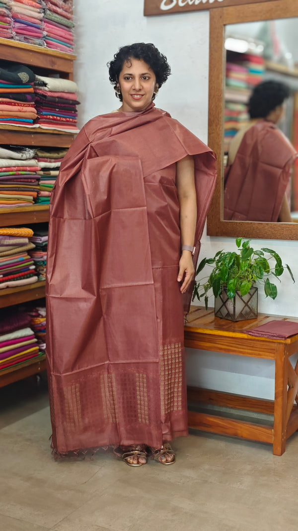 Chocolate Brown Lined Noil Tussar Silk Suit