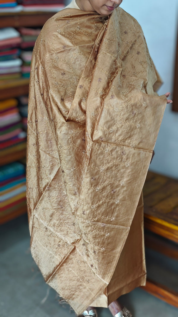 Golden Brown Embroidered Tussar Silk Suit - CC31