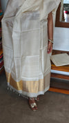 Cream and Gold Tussar Silk Suit - EN08