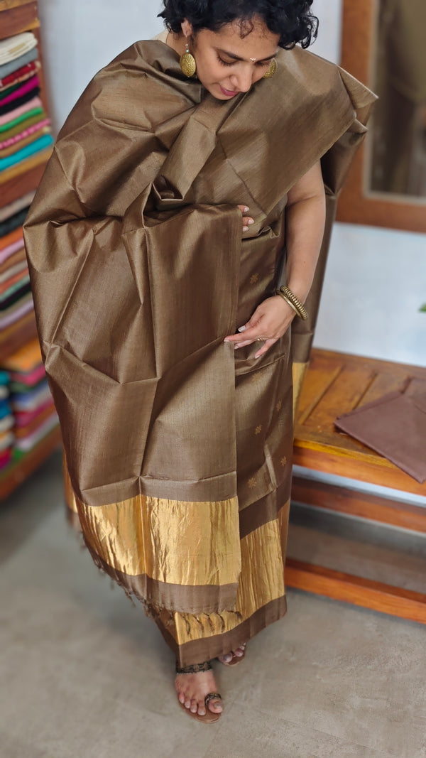 Olive Brown and Gold Tussar Silk Suit - EN08