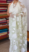 Pastel Mint Green Organza Applique Saree - PSG2