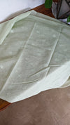 Pastel Mint Green Organza Applique Saree - PSG2