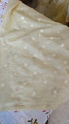 Pastel Yellow Applique Organza Saree - PSG2