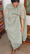 Sage Green Embroidered Crushed Organza Suit - PFV4