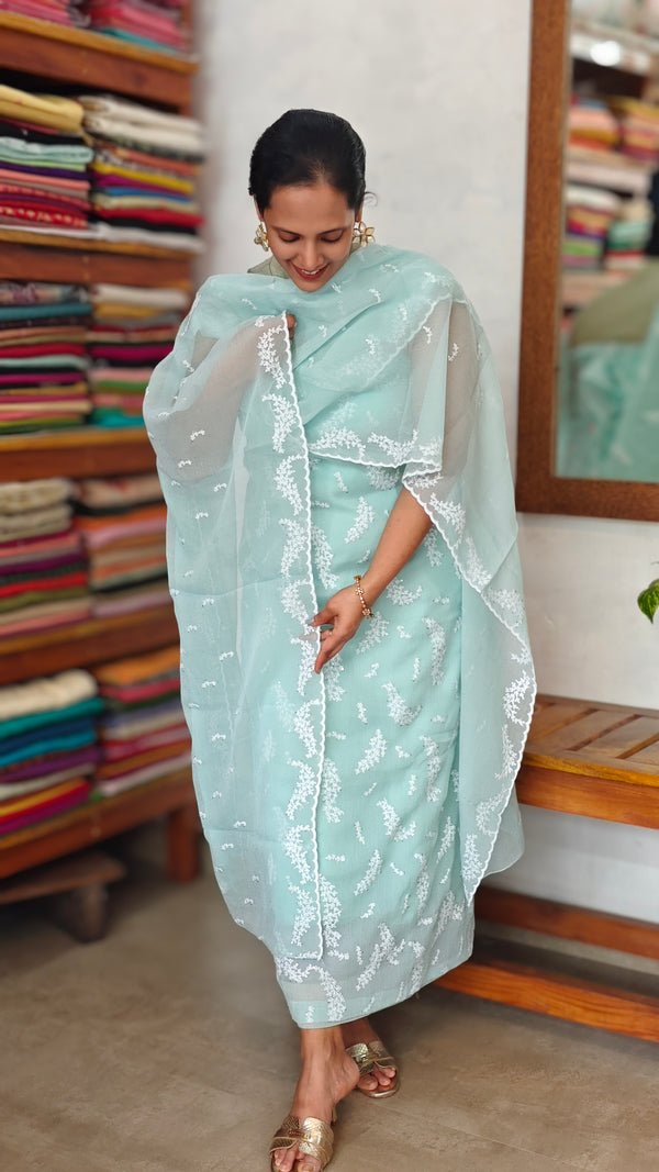 Aqua Blue Embroidered Crushed Organza Suit - PFV4 - A1