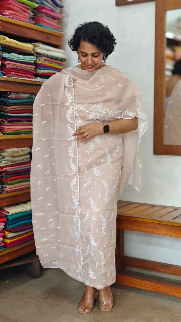 Nude Peach Embroidered Crushed Organza Suit - PFV4 - A1