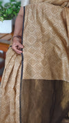 Beige Printed Chanderi Saree with Zari Palla - T833
