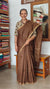 Walnut Brown Chanderi Tussar Silk Saree - ANX19