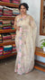 Breezy Beige Embroidered Crushed Organza Saree - PLM4
