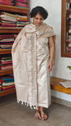 Light Beige Semi Tussar Suit - HTV7 - Ivory Off White