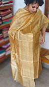 Mustard Embroidered Tussar Silk Suit - E882