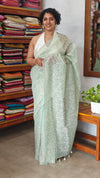 Aqua Green Embroidered Organza Tissue Saree - PD3A
