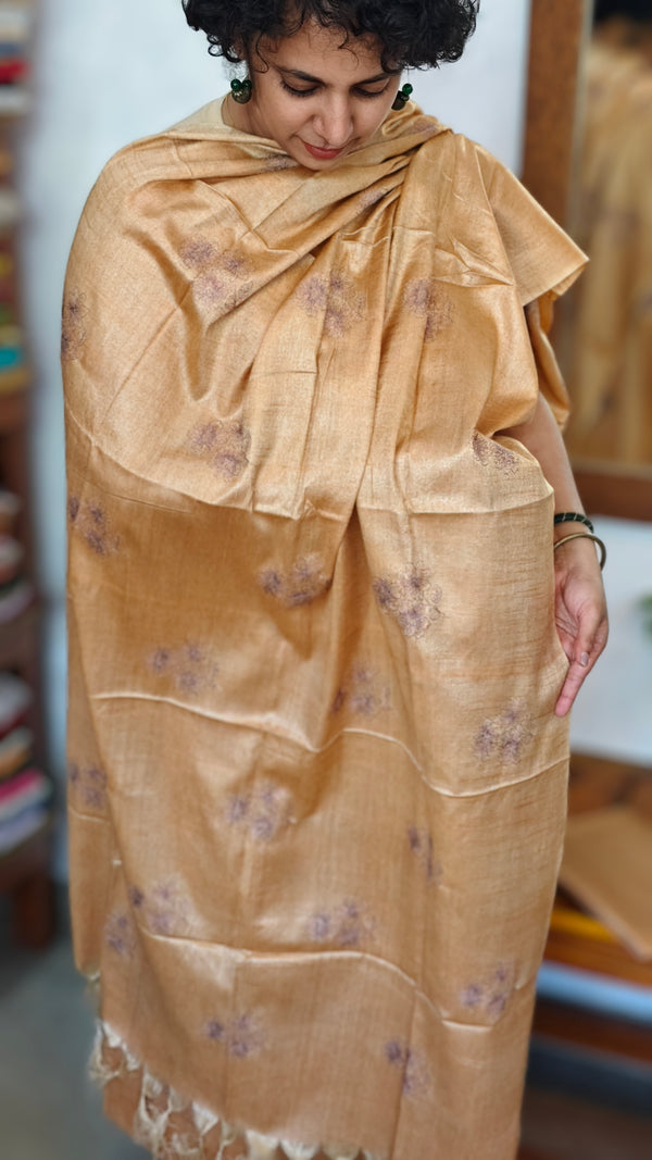 Golden Beige Semi Tussar Suit with Copper Thread Embroidery - TTV4