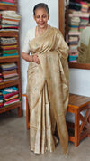 Golden Beige Embroidered Tussar Silk Saree - ETS25