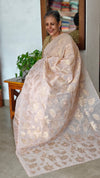 Pastel Peach Linen Tissue Saree with Golden Applique - D773