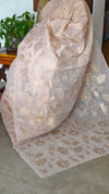 Pastel Peach Linen Tissue Saree with Golden Applique - D773