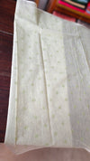 Pastel Green Linen Chanderi Saree with Golden Applique - D773