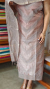 Taupe Chanderi and Organza Embroidered Suit - WL21