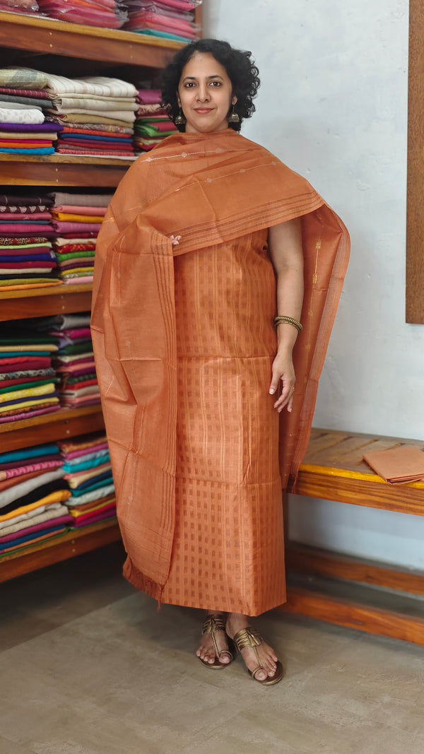 Rust Semi Silk Woven Suit - EW79A