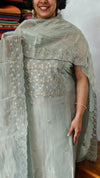 Powder Blue Embroidered Crushed Organza Suit - NJD3