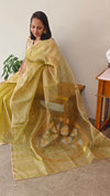 Pastel green Organza jamdani Saree